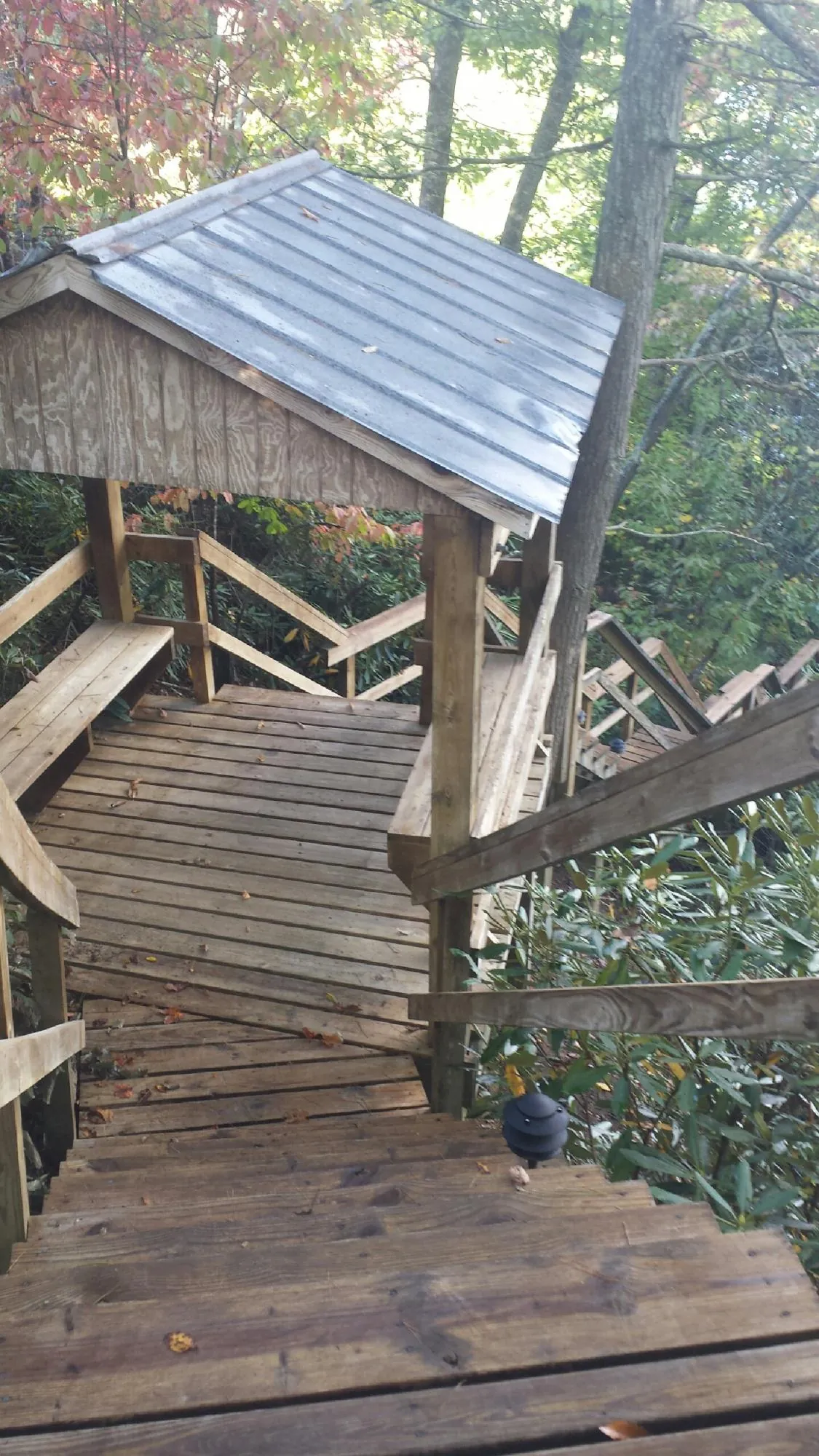 Metal roofed shelter over wooden steps on a wooded walkway — Skylight Repair & Installation work by our crew in Mcminnville
